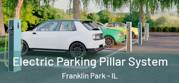  Electric Parking Pillar System Franklin Park - IL