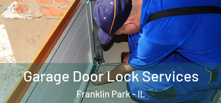 Garage Door Lock Services Franklin Park - IL