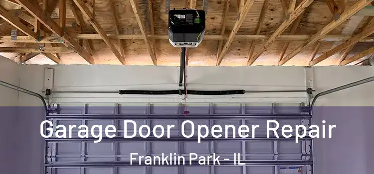  Garage Door Opener Repair Franklin Park - IL