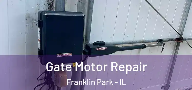 Gate Motor Repair Franklin Park - IL