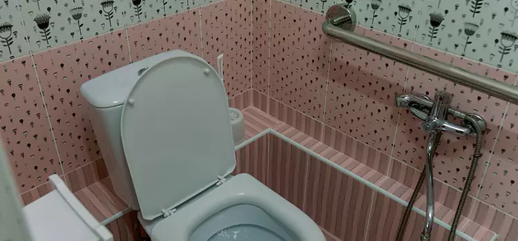 Meeting Diverse Needs With Accessible Restroom Solutions in Franklin Park, IL