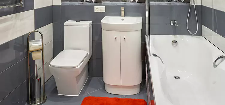 Hansgrohe Shaving Mirror Franklin Park