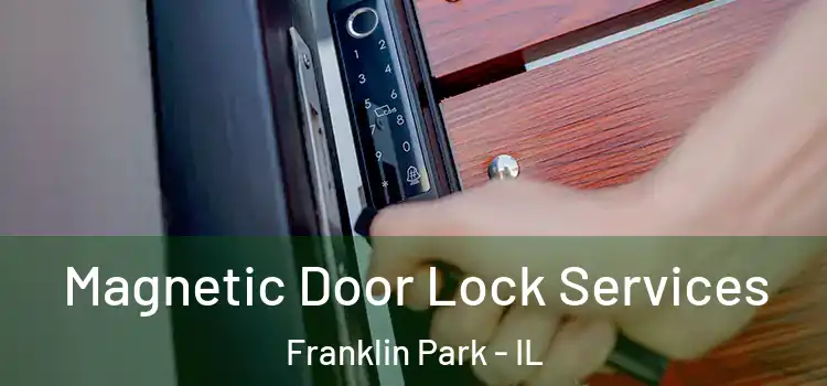  Magnetic Door Lock Services Franklin Park - IL