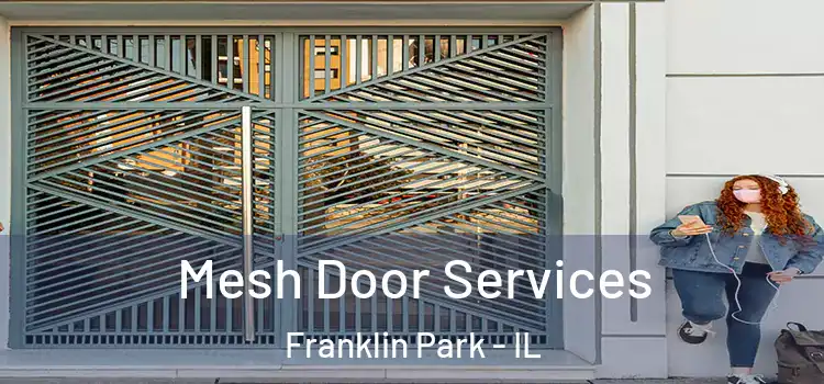 Mesh Door Services Franklin Park - IL